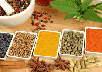 Chương trình đào tạo YSYHCT