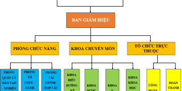 Sơ đồ tổ chức