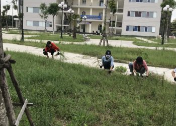 Đoàn thanh niên tổ chức lao động