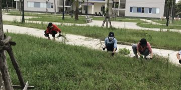 Đoàn thanh niên tổ chức lao động