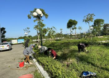 Cán bộ, giảng viên, nhân viên, người lao động Trường Cao đẳng Y tế Bắc Ninh “Chung tay hành động cho Thế giới sạch hơn”