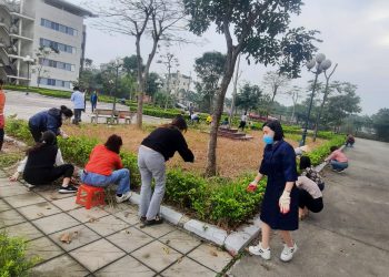 Hưởng ứng tết trồng cây năm Giáp Thìn 2024