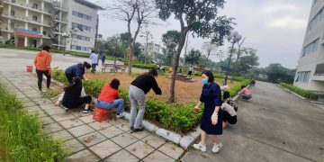 Hưởng ứng tết trồng cây năm Giáp Thìn 2024