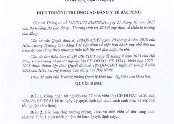 Quyết định công nhận tốt nghiệp cho sinh viên lớp CĐ ĐD3A1 và CĐ D3A1