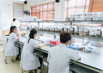 GIỚI THIỆU VỀ NGÀNH Y HỌC CỔ TRUYỀN