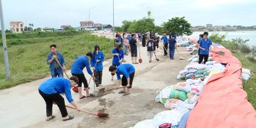 Khắc phục hậu quả sau bão tại tuyến đê Đẩu Hàn – phường Kinh Bắc
